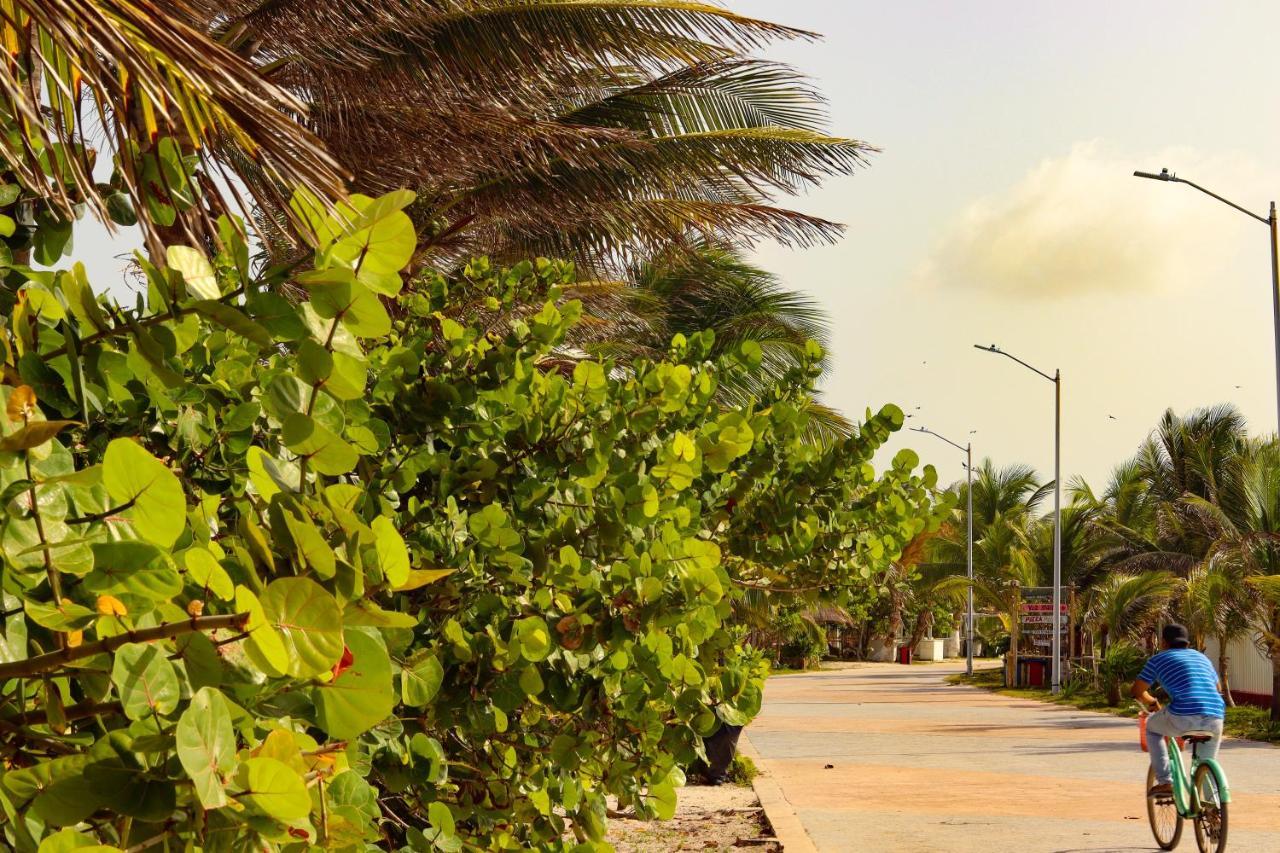 Jh Hotel Mahahual Ngoại thất bức ảnh